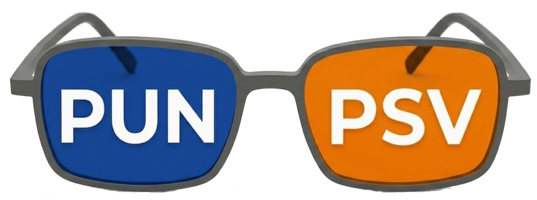 punpsv.com